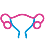 Gynaecology